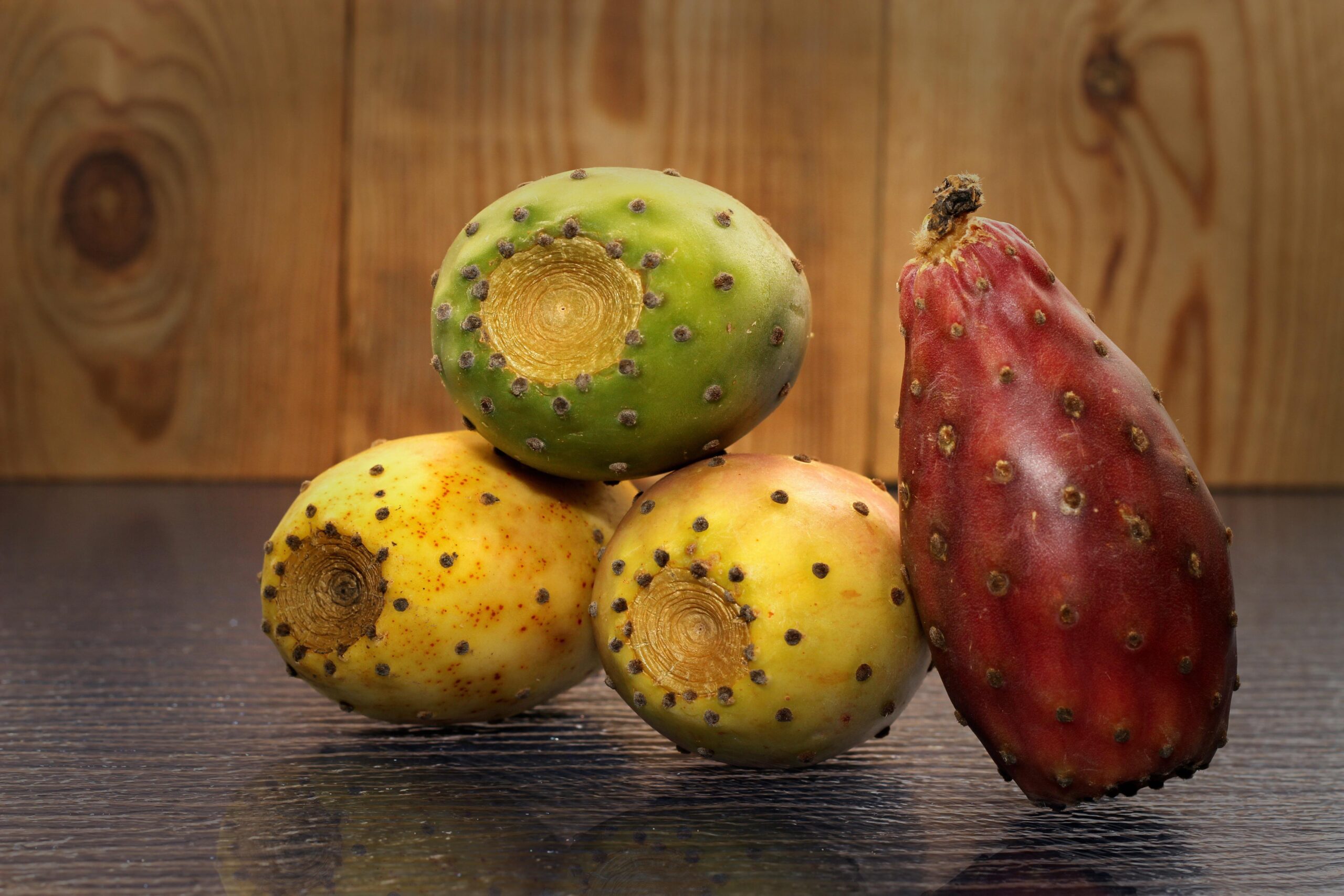 prickly-pear-5315956